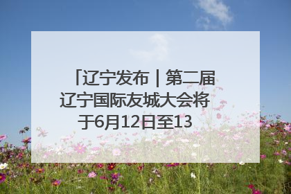 辽宁发布｜第二届辽宁国际友城大会将于6月12日至13日在沈阳举办
