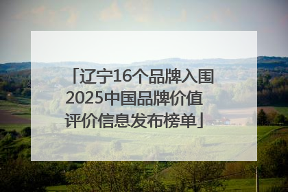 辽宁16个品牌入围2025中国品牌价值评价信息发布榜单