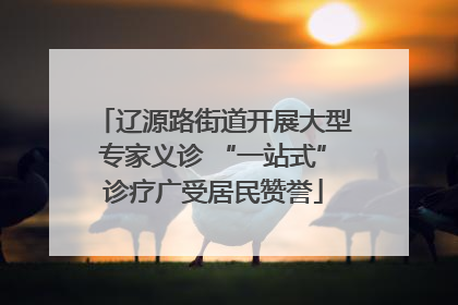 辽源路街道开展大型专家义诊 “一站式”诊疗广受居民赞誉