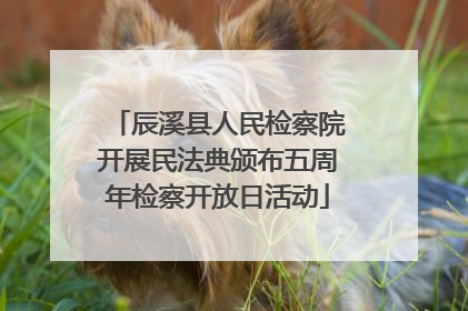 辰溪县人民检察院开展民法典颁布五周年检察开放日活动