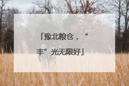 豫北粮仓，“丰”光无限好