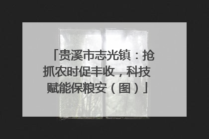 贵溪市志光镇：抢抓农时促丰收，科技赋能保粮安（图）