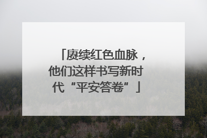 赓续红色血脉，他们这样书写新时代“平安答卷”