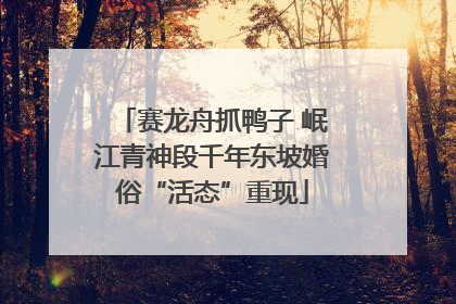 赛龙舟抓鸭子 岷江青神段千年东坡婚俗“活态”重现