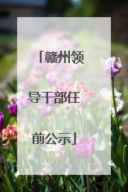 赣州领导干部任前公示