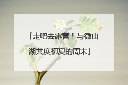 走吧去露营！与微山湖共度初夏的周末