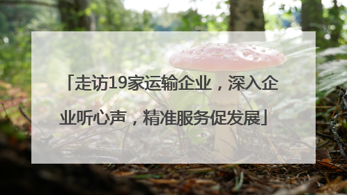 走访19家运输企业，深入企业听心声，精准服务促发展