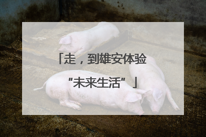 走，到雄安体验“未来生活”