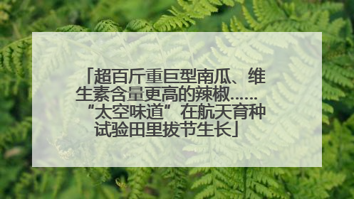 超百斤重巨型南瓜、维生素含量更高的辣椒……“太空味道”在航天育种试验田里拔节生长