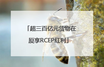 超三百亿元货物在厦享RCEP红利