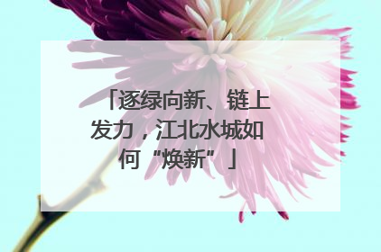 逐绿向新、链上发力，江北水城如何“焕新”