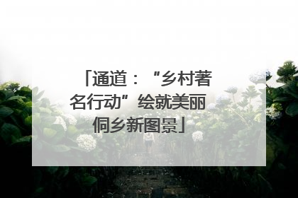通道：“乡村著名行动”绘就美丽侗乡新图景