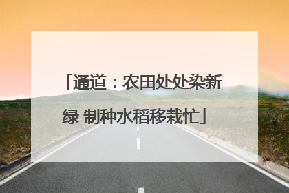 通道：农田处处染新绿 制种水稻移栽忙