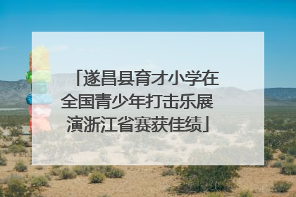 遂昌县育才小学在全国青少年打击乐展演浙江省赛获佳绩