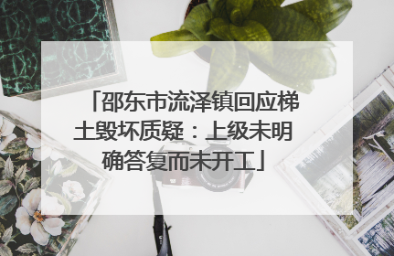 邵东市流泽镇回应梯土毁坏质疑：上级未明确答复而未开工