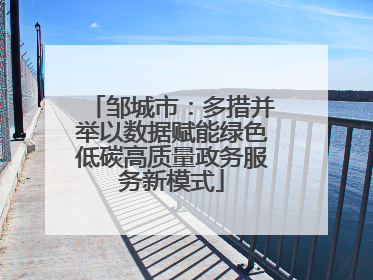 邹城市：多措并举以数据赋能绿色低碳高质量政务服务新模式