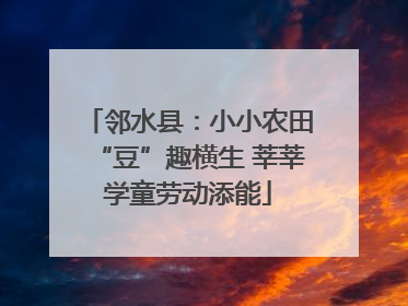 邻水县：小小农田“豆”趣横生 莘莘学童劳动添能