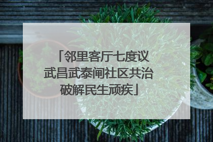 邻里客厅七度议 武昌武泰闸社区共治破解民生顽疾