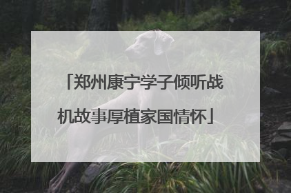 郑州康宁学子倾听战机故事厚植家国情怀
