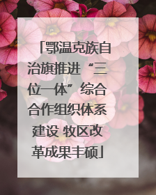 鄂温克族自治旗推进“三位一体”综合合作组织体系建设 牧区改革成果丰硕