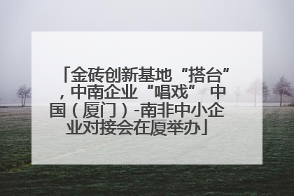 金砖创新基地“搭台”，中南企业“唱戏” 中国（厦门）-南非中小企业对接会在厦举办