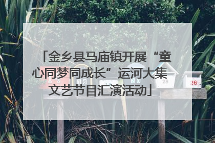 金乡县马庙镇开展“童心同梦同成长”运河大集文艺节目汇演活动