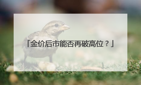金价后市能否再破高位？