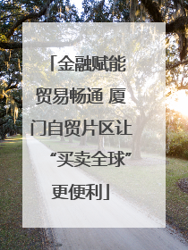 金融赋能 贸易畅通 厦门自贸片区让“买卖全球”更便利