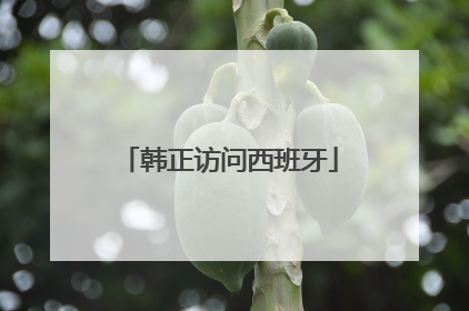 韩正访问西班牙