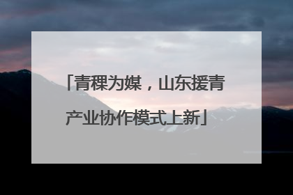 青稞为媒，山东援青产业协作模式上新