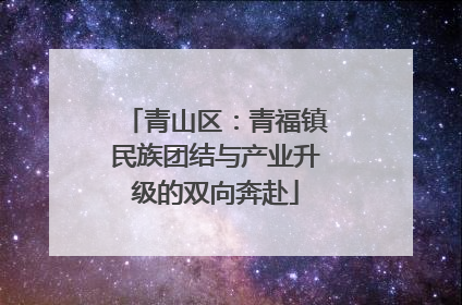 青山区：青福镇民族团结与产业升级的双向奔赴