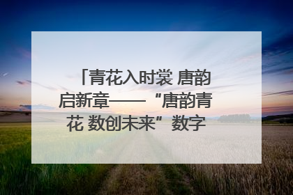 青花入时裳 唐韵启新章——“唐韵青花 数创未来”数字文创设计大赛启幕