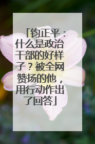 钧正平：什么是政治干部的好样子？被全网赞扬的他，用行动作出了回答