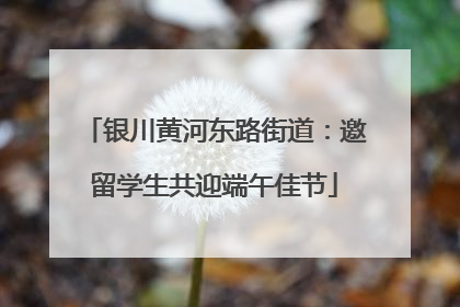银川黄河东路街道：邀留学生共迎端午佳节