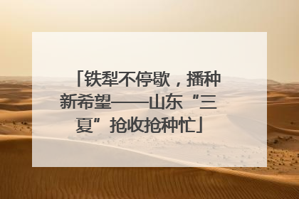 铁犁不停歇，播种新希望——山东“三夏”抢收抢种忙