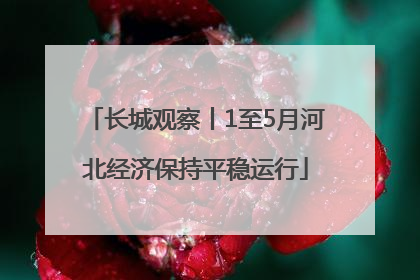 长城观察丨1至5月河北经济保持平稳运行
