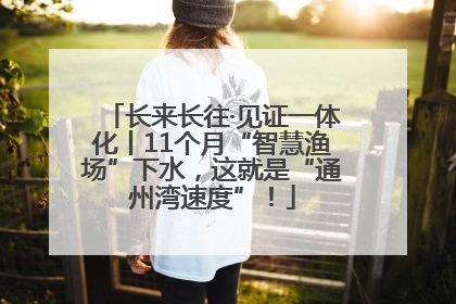 长来长往·见证一体化丨11个月“智慧渔场”下水，这就是“通州湾速度”！