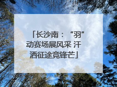 长沙南：“羽”动赛场展风采 汗洒征途竞锋芒