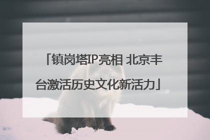 镇岗塔IP亮相 北京丰台激活历史文化新活力