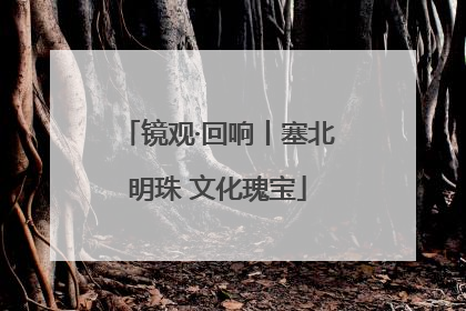 镜观·回响丨塞北明珠 文化瑰宝
