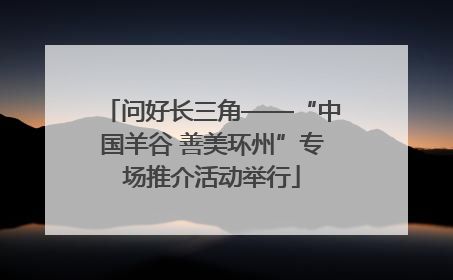 问好长三角——“中国羊谷 善美环州”专场推介活动举行