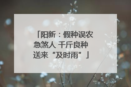 阳新：假种误农急煞人 千斤良种送来“及时雨”