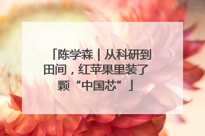 陈学森｜从科研到田间，红苹果里装了颗“中国芯”