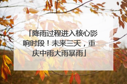 降雨过程进入核心影响时段！未来三天，重庆中雨大雨暴雨
