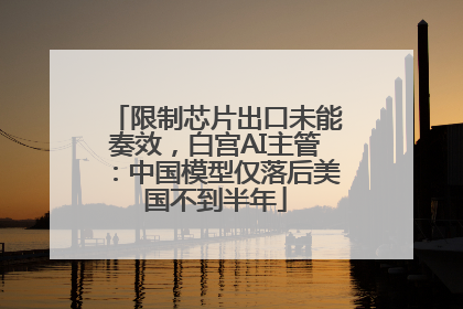 限制芯片出口未能奏效，白宫AI主管：中国模型仅落后美国不到半年