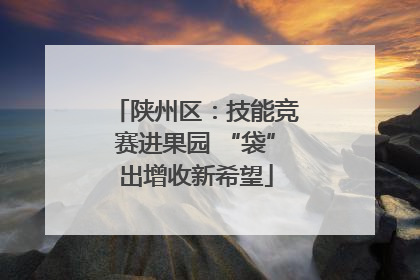 陕州区：技能竞赛进果园 “袋”出增收新希望