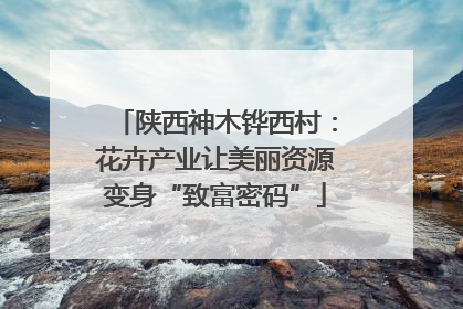 陕西神木铧西村：花卉产业让美丽资源变身“致富密码”