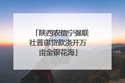 陕西农信宁强联社普惠贷款浇开万亩金银花海
