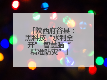 陕西府谷县：黑科技“水利全开” 智慧脑“精准防灾”