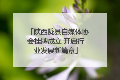 陕西陇县自媒体协会挂牌成立 开启行业发展新篇章